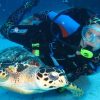 ScubaDo Hose Cover Super Size Rebreather Loop Cover, BCD Inflator Hose and Ponytail Hair - Image 2